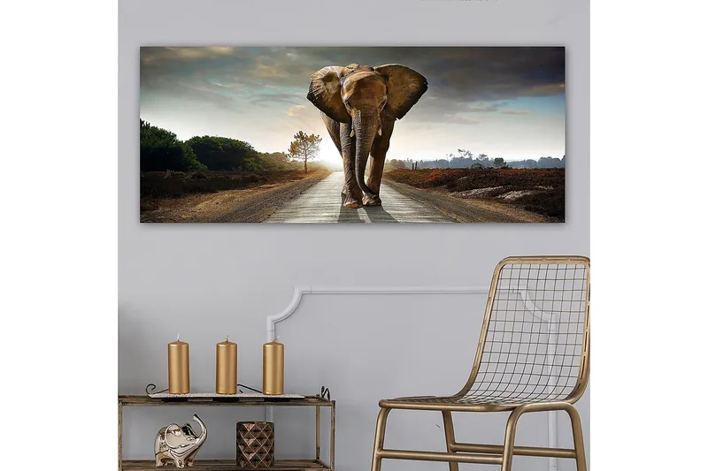 Canvastavla YTY Animals Flerfärgad - 120x50 cm - Products - Inredning - Tavlor & posters - Canvastavla