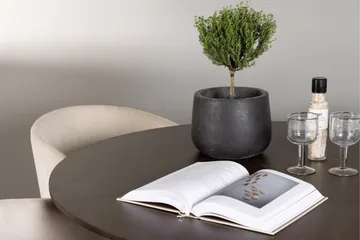 Kaseidon Matgrupp 100 cm Rund med 4 Berit stolar - Beige - Products - Möbler - Bord & matgrupp - Matgrupp