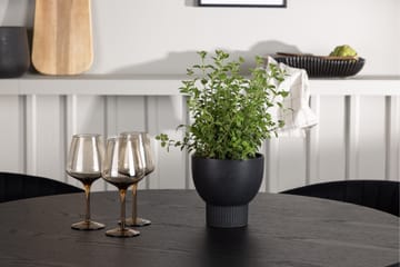 Olivia Matgrupp 110 cm Rund med 4 Selma Stolar - Svart - Products - Möbler - Bord & matgrupp - Matgrupp