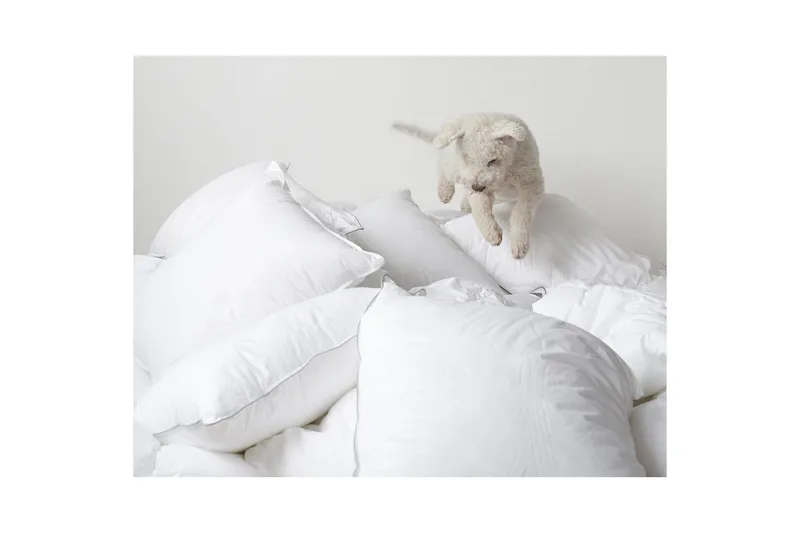 Kudde Hotellkudde - 50 x 90 cm - Products - Textil & mattor - Sängkläder